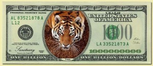 Money-Individual-Tiger_1