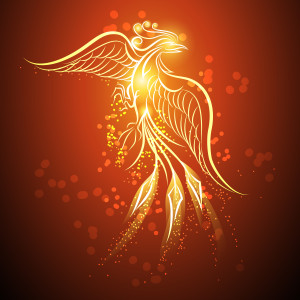 Rising phoenix